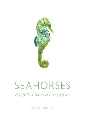 Seahorses - Sara A. Lourie
