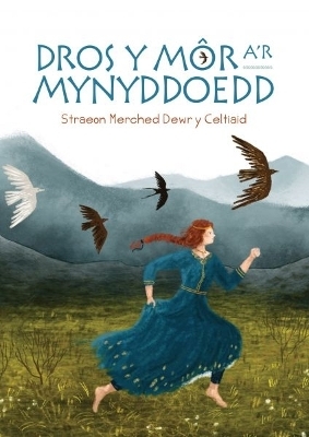 Dros y M&ocirc;r a'r Mynyddoedd: Straeon Merched Dewr y Celtiaid - Gwasg Carreg Gwalch