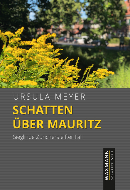 Schatten &uuml;ber Mauritz - Ursula Meyer