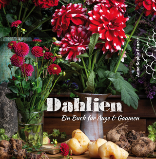 Dahlien