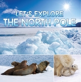 Let's Explore the North Pole - Baby Professor
