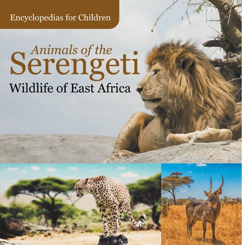 Animals of the Serengeti | Wildlife of East Africa | Encyclopedias for Children - Baby Professor