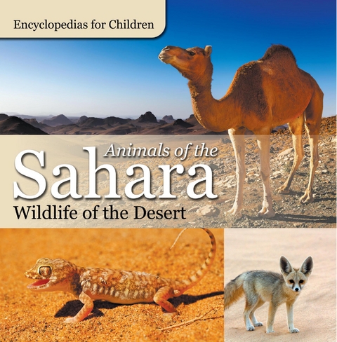 Animals of the Sahara | Wildlife of the Desert | Encyclopedias for Children - Baby Professor