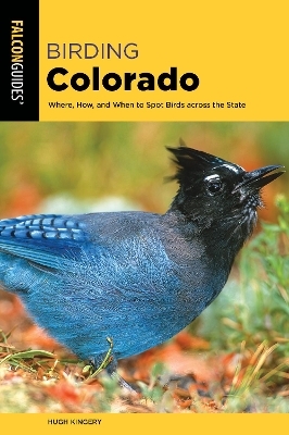 Birding Colorado - Hugh Kingery