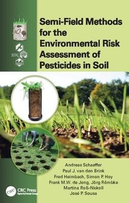 Semi-Field Methods for the Environmental Risk Assessment of Pesticides in Soil - 