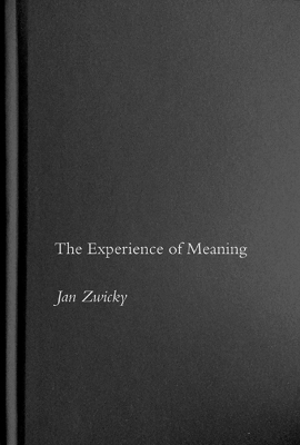The Experience of Meaning