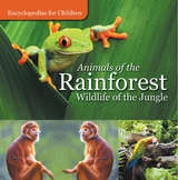 Animals of the Rainforest | Wildlife of the Jungle | Encyclopedias for Children - Baby Professor