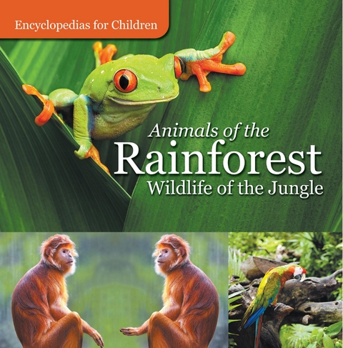 Animals of the Rainforest | Wildlife of the Jungle | Encyclopedias for Children - Baby Professor