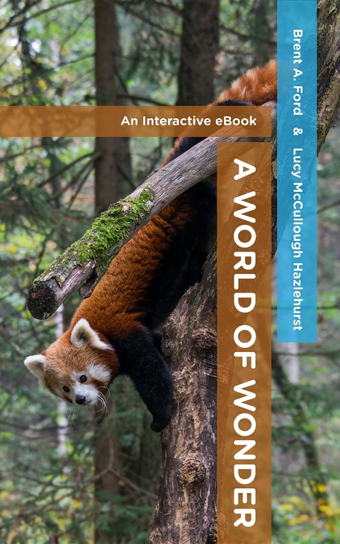 A World of Wonder - Brent A. Ford, Lucy McCullough Hazlehurst
