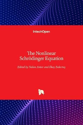 The Nonlinear Schrödinger Equation
