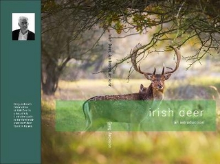 Irish Deer