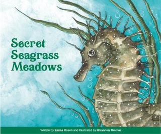 Secret Seagrass Meadows