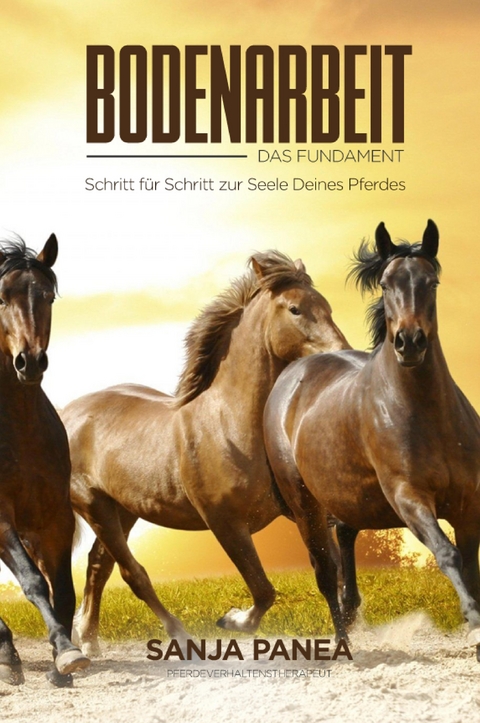 Bodenarbeit - Das Fundament - Sanja Panea