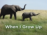 When I Grow Up - Brent A. Ford, Lucy McCullough Hazlehurst