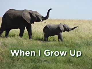 When I Grow Up