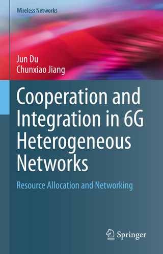 Cooperation and Integration in 6G Heterogeneous Networks