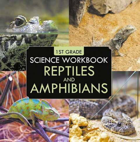 1st Grade Science Workbook: Reptiles and Amphibians - Baby Professor