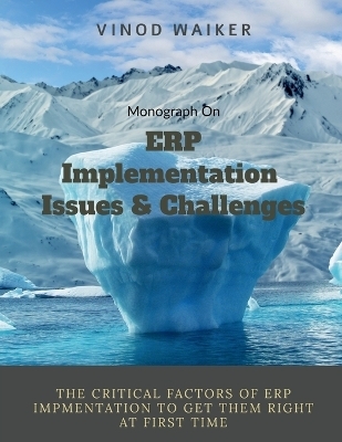ERP Implementation Issues and Challenges - Vinod Waiker