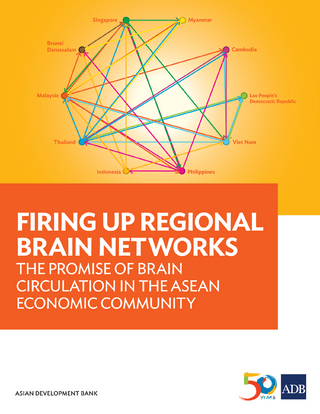 Firing Up Regional Brain Networks