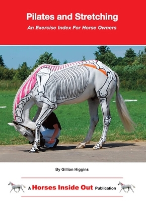 Pilates and Stretching - Gillian Higgins