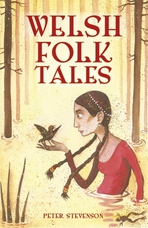 Welsh Folk Tales -  Peter Stevenson