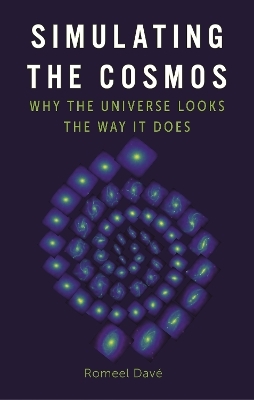 Simulating the Cosmos - Romeel Dav&eacute;