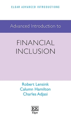 Advanced Introduction to Financial Inclusion