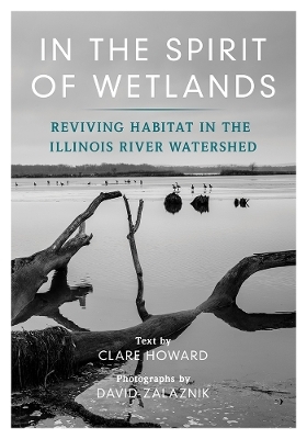 In the Spirit of Wetlands - 