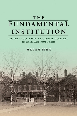 The Fundamental Institution - Megan Birk
