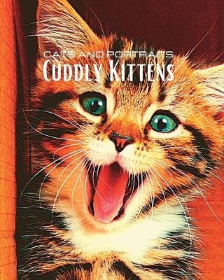 CATS and PORTRAITS - Cuddly Kittens