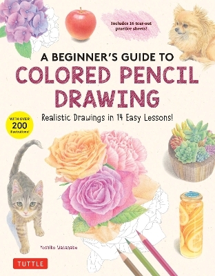 A Beginner's Guide to Colored Pencil Drawing - Yoshiko Watanabe