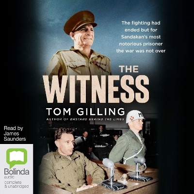 The Witness - Tom Gilling