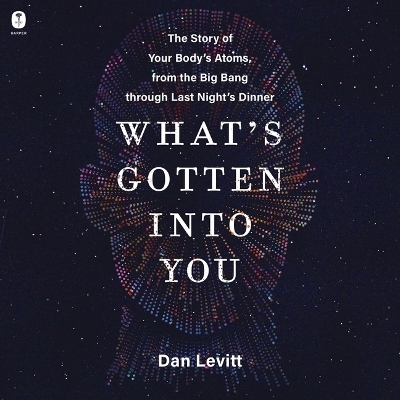What's Gotten Into You - Dan Levitt