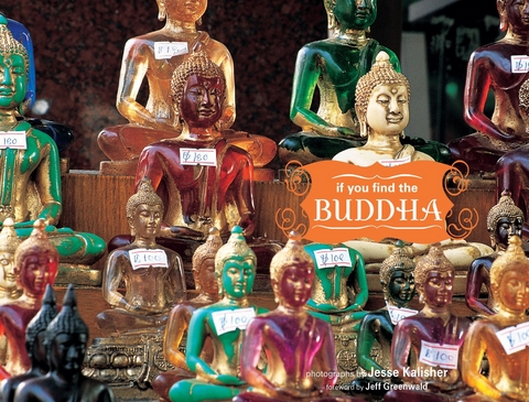 If You Find the Buddha -  Jesse Kalisher