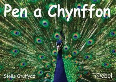 Pen a Chynffon - Pecyn Llythrennedd Cardiau'n Unig - Stella Gruffydd