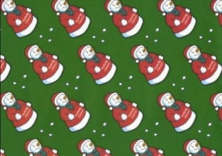 Papur Pacio Nadolig y Lolfa: Dyn Eira