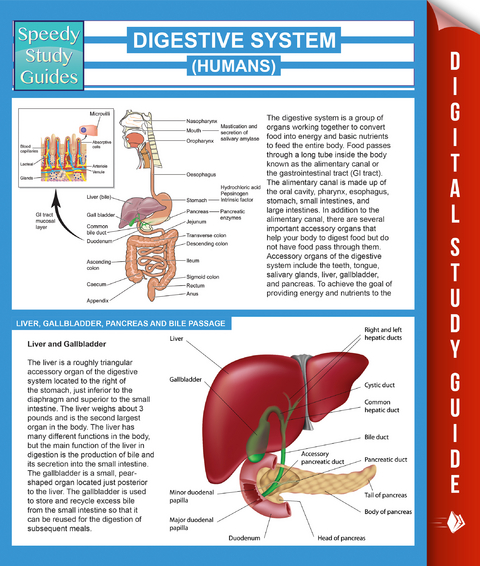 Digestive System (Humans) (Speedy Study Guides) - Speedy Publishing
