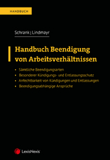 Handbuch Beendigung von Arbeitsverh&auml;ltnissen - Franz Schrank, Manfred Lindmayr