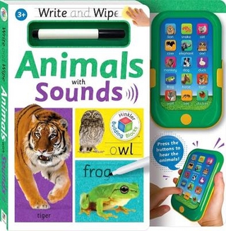 Building Blocks: Write & Wipe Words with Sounds