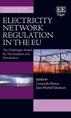 Electricity Network Regulation in the EU - 