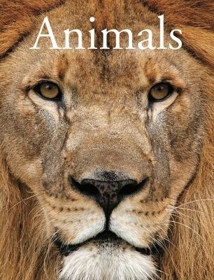 Encyclopedia of Animals - David Alderton
