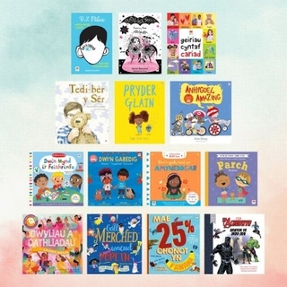 Pecyn Amrywiaeth / Diversity Pack