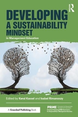 Developing a Sustainability Mindset in Management Education - 