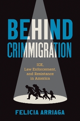 Behind Crimmigration