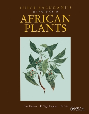 Luigi Balugani's Drawings of African Plants - Paul Hulton