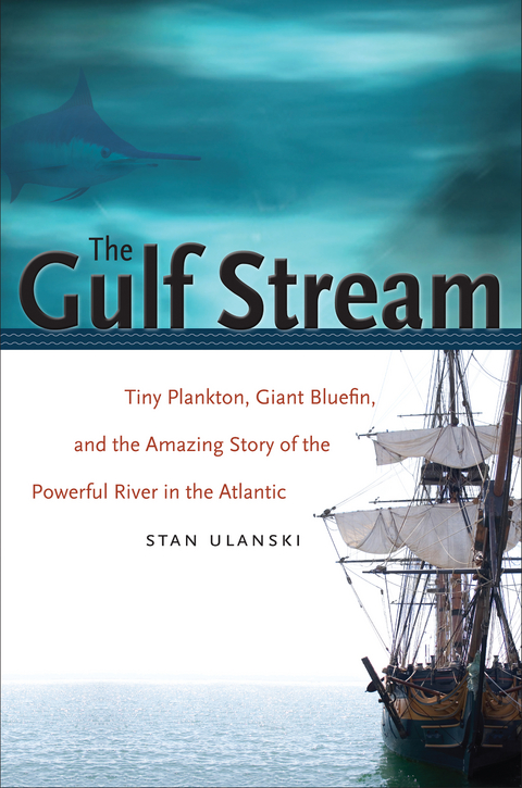 The Gulf Stream - Stan Ulanski