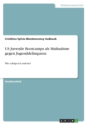 US Juvenile Bootcamps als Ma&Atilde;nahme gegen Jugenddelinquenz - Cristhina Sylvia Montmorency Sedlacek