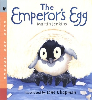 The Emperor's Egg: Big Book - Martin Jenkins
