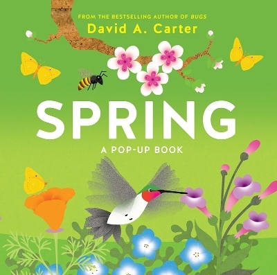 Spring - David Carter