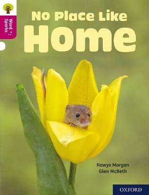 Oxford Reading Tree Word Sparks: Level 10: No Place Like Home - Hawys Morgan